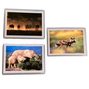 Vintage Safari Photo Magnets Set of 3 South Africa